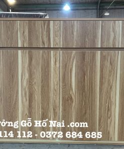 Tủ dép gỗ mdf lõi xanh 19A01