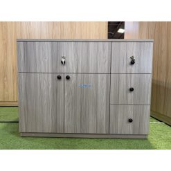 Tủ Đồ Đa Năng 44V52